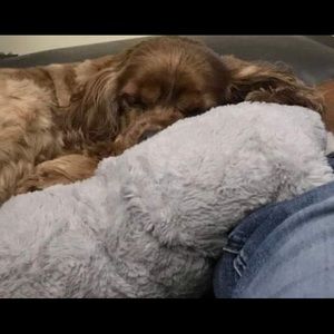 Meet your Posher, Ardena